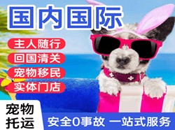 阿勒泰雪都航空邮寄国际宠物托运 【国